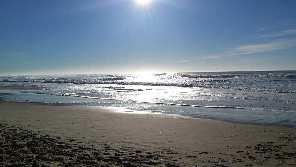 Les Jardins De L'Ocean - Climatise Hotel Biscarrosse-Plage Bagian luar foto
